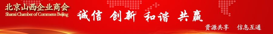 网站横版logo