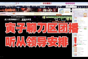 寅子聊刀区户外团播：我对这东西不感兴趣，如果领导要求了我就去