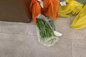 重庆铜梁龙中超主场首战票价引发球迷不满，网传球队门口被寄韭菜