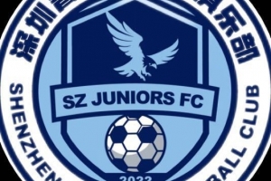 深圳青年人总经理:希望如大家愿,明年有中超深圳德比