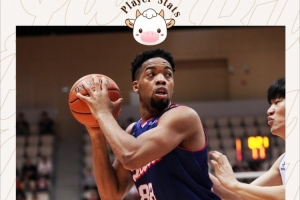 香港金牛今晚大胜张家口体文旅 常规赛主场圆满收官