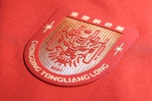 重庆铜梁龙官方:3月20日增补铜梁龙vs蓉城球票