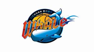 不会被零封吧!四川单赛季29连败 打破CBA和NBA历史纪录