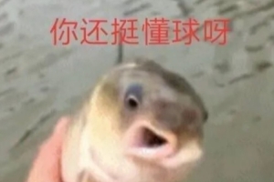 该退休了?帕金斯:莱利每年休赛期都想钓鲸鱼 最后只钓上来鲈鱼