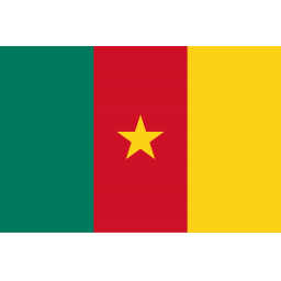 喀麦隆女足U17队徽