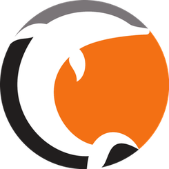 诺科平海豚队徽