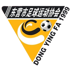 东营队队徽