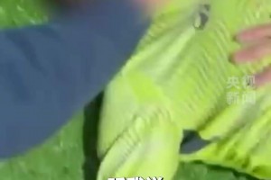 杭州球场惊魂4分钟！男子踢球心脏骤停，众人合力与死神赛跑成功